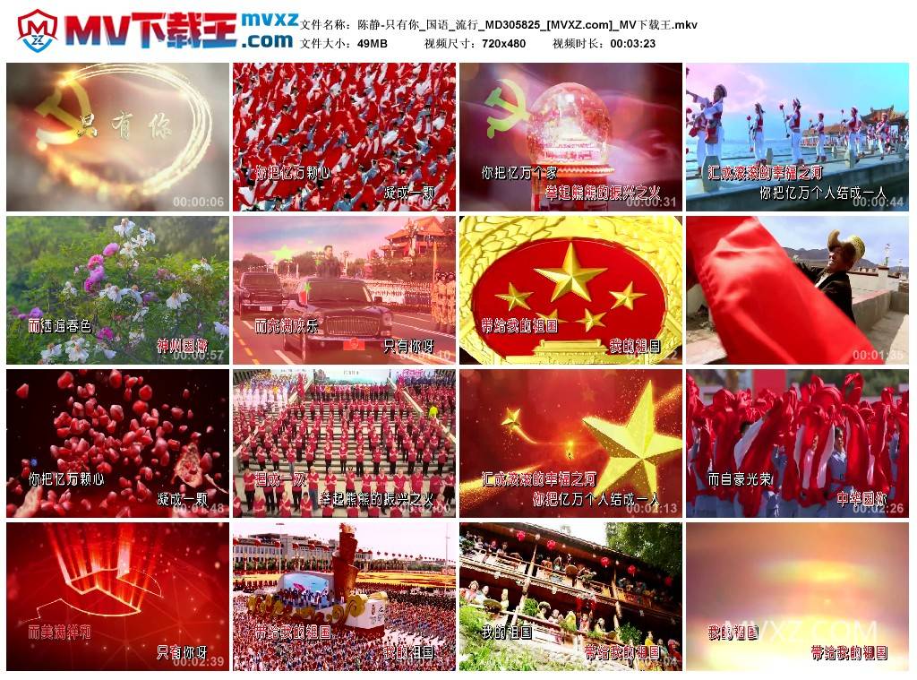 陈静-只有你_国语_流行_MD305825